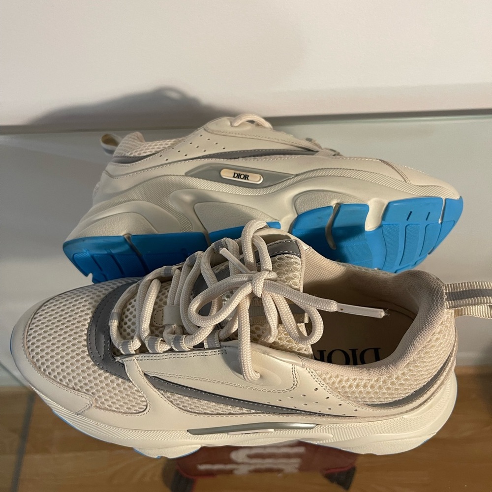 Dior B22